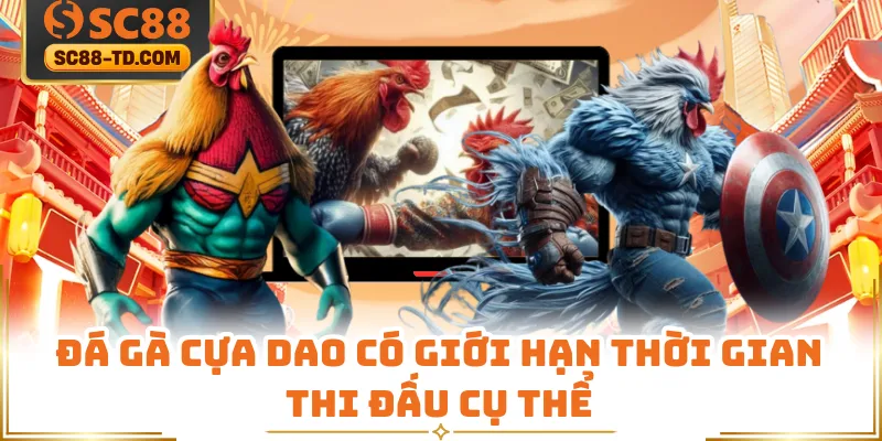 Đá Gà Cựa Dao Có Giới Hạn Thời Gian Thi Đấu Cụ Thể